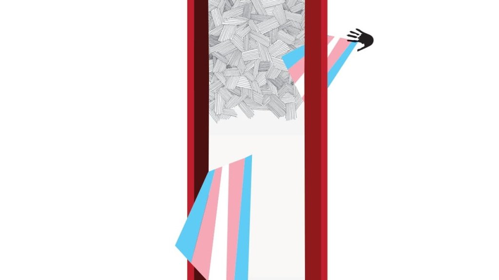 ট্রান্সফোবিয়ার ইতিবৃত্ত